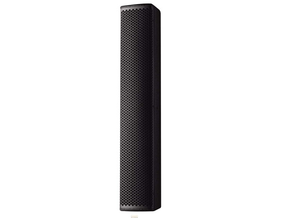 Professional Speaker