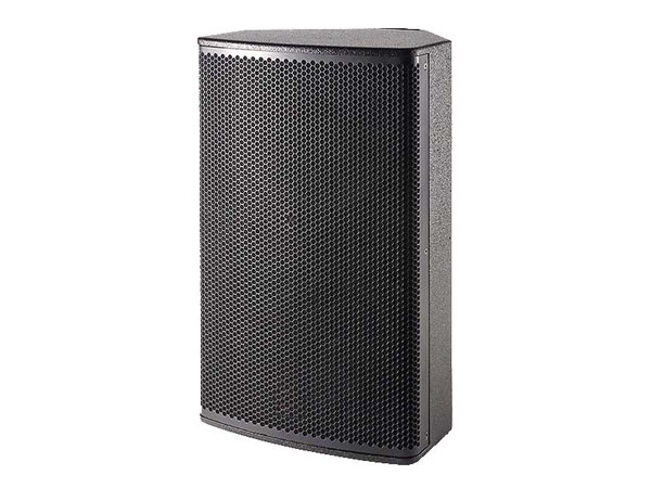 Professional Speaker