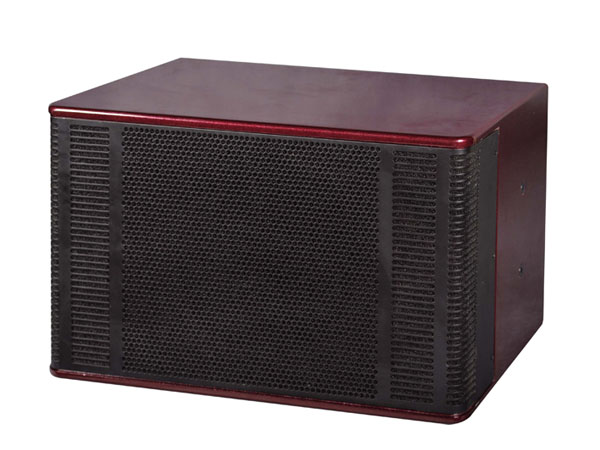 Professional Speaker