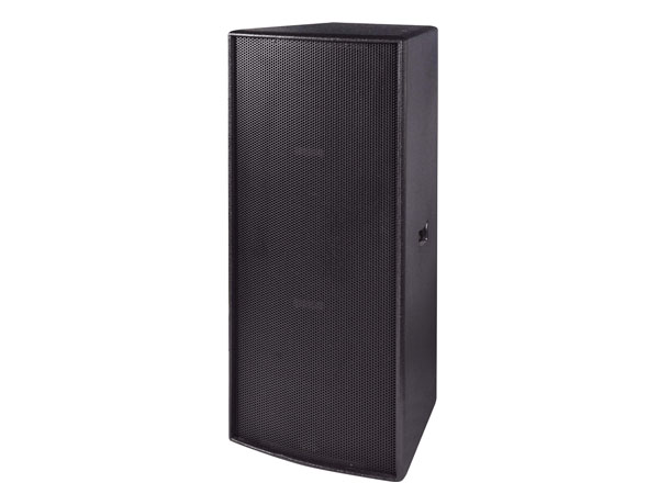 Professional Speaker
