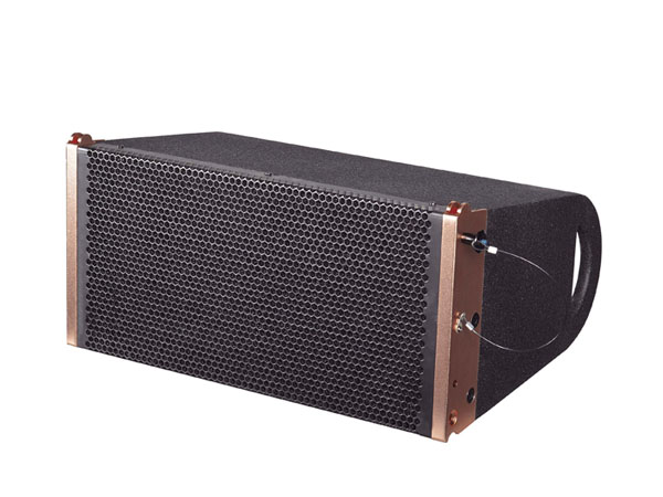 Professional Speaker