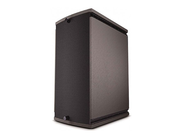 Professional Speaker