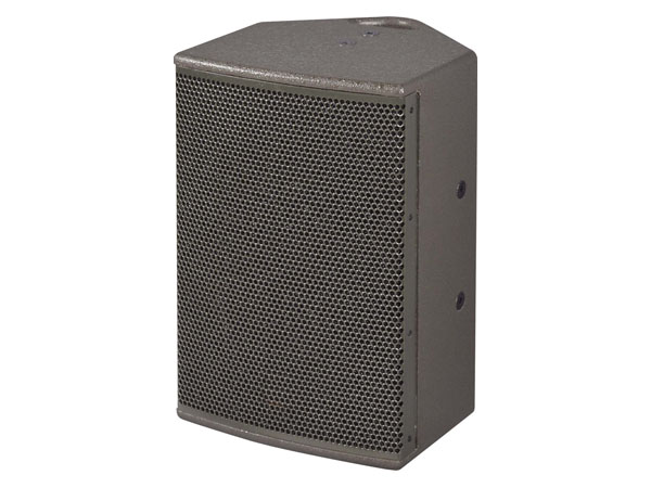 Professional Speaker