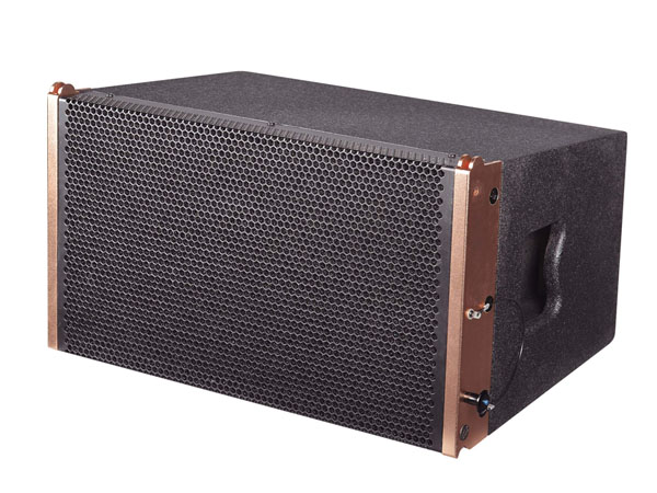 Professional Speaker